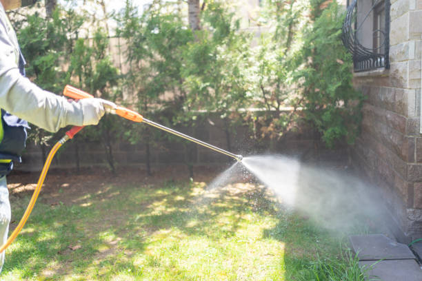 Emergency Pest Control Services in Hector, MN